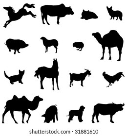 Farm Animals Livestock and poultry