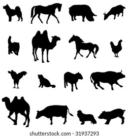 Farm Animals Livestock and poultry