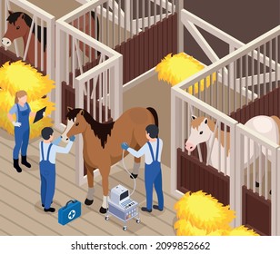 Farm animals livestock veterinary isometric composition with horse barn indoor scenery and vets brigade examining horse vector illustration