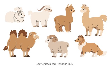 Farm animals male and female set. Cartoon children s families of village cattle and birds. Cow and bull, ram and sheep, chicken and rooster and other families of animals on the farm. Whitr background.