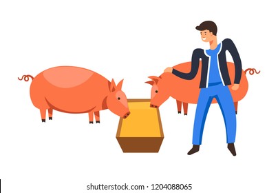 Farm animals, man farmer tending for pigs eating