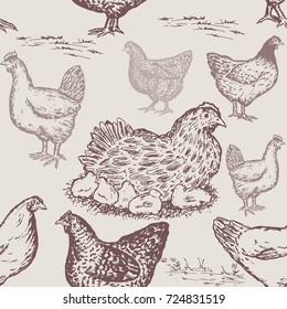 Farm animals pattern. Hand drawn chicken in vintage style, packaging farm products chicken eggs hand drawn vector 