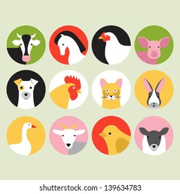 Farm animals and pets