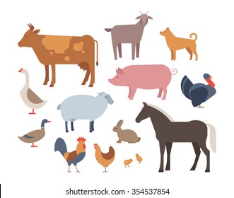 Farm animals and pets vector icons set isolated on a white background. Flat style characters.