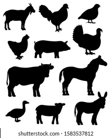 Farm animals Icons – Download for Free in PNG and SVG