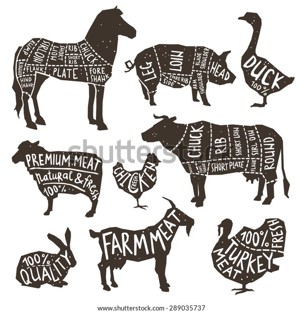 Farm Animals Poultry Silhouette Icons Set Stock Vector (Royalty Free ...