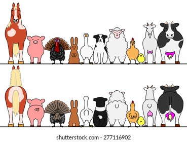 farm animals in a row, front and back