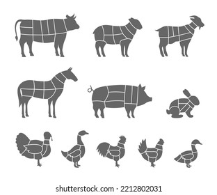 Farm animals scheme cuts. Pig, Horse, Turkey, Goat, Sheep, Chicken, Rooster, Duck, Rabbit, Goose, Cow cuts of meats. Meat cut diagram illustration