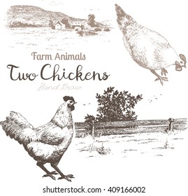 Farm animals set 2. Vector sketches of 2 chicken and countryside on white background