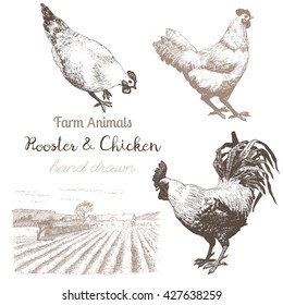 Farm Animals Set 4. Vector Sketches Of Rooster, Chicken And Countryside On White Background