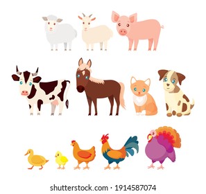 Farm animals set in cartoon style isolated on white background. Vector illustration. Cute animals collection: sheep, goat, pig, cow, horse, cat, dog, duck, chick, chicken, rooster, turkey.