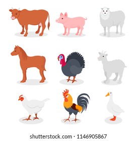 Farm animals set, cow, pig, sheep, horse, turkey, goat, hen, rooster, goose vector Illustrations on a white background