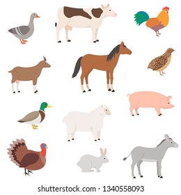 Animales de granja. Animales domésticos. Caballo, vaca, pollo, caballo, cabra, codorniz, pato, oveja, cerdo, pavo, conejo, burro. Ilustración vectorial aislada