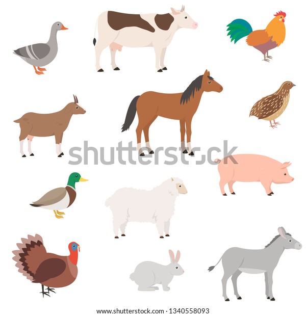 Vector De Stock Libre De Regalias Sobre Animales De Granja