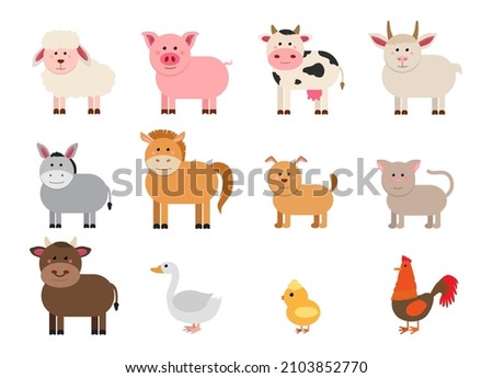 Farm animals set in flat style isolated on white background. Vector illustration. Cute cartoon animals collection: sheep, goat, cow, donkey, horse, pig, cat, dog, duck, goose, chicken, rooster 