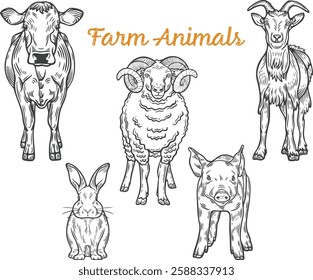 Farm animals set, front view, cow, goat, ram, bunny, pig,  domesticated, fresh organic meat, lines, hand-drawn, black and white, graphic illustration, engraving isolated