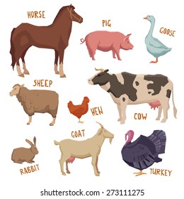 Farm animals set with horse pig sheep goat turkey isolated vector illustration