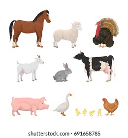 Farm animals set. Isolated animals like horse, chicken and pig on white background.