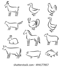 Animales de granja. Vector