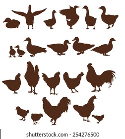 farm animals. set of vector icons on a white background