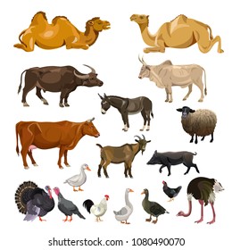 Farm animals set. Vector illustration isolated on white background