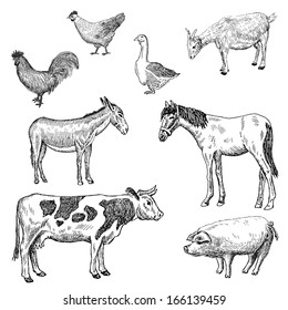 farm animals. set of vector sketches