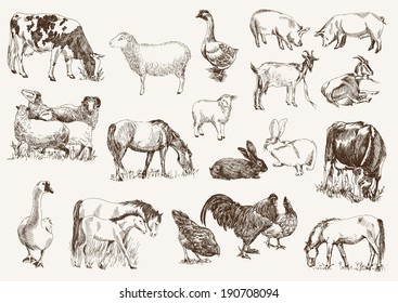 farm animals. set of vector sketches on a white background