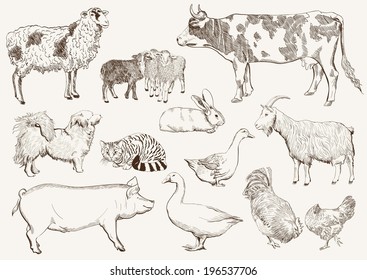 farm animals. set of vector sketches on a white background