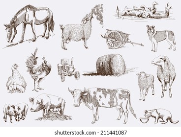 farm animals. set of vector sketches on a white background