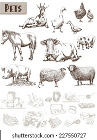 farm animals. set of vector sketches on a white background