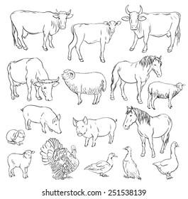 farm animals. set of vector sketches on a white background