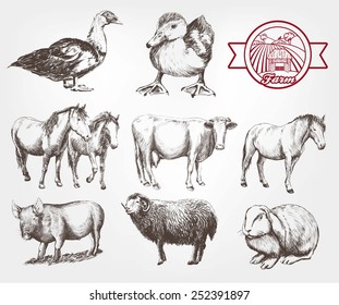 farm animals. set of vector sketches on a white background
