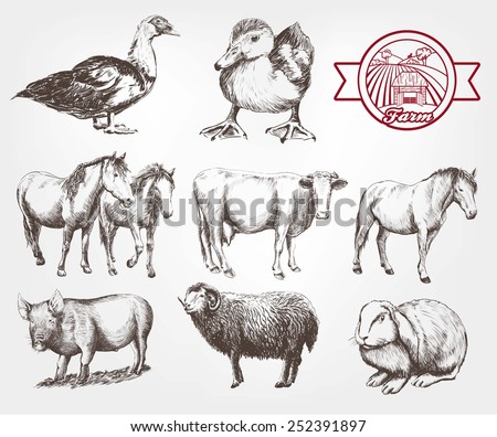 Farm Animals Set Vector Sketches On Stock Vector (Royalty Free