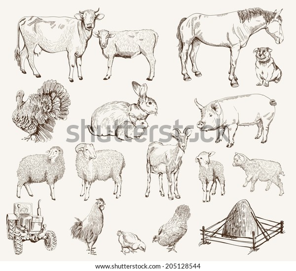 Farm Animals Set Vector Sketches On Stock Vector (Royalty Free) 205128544