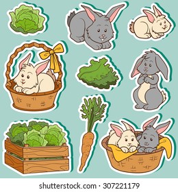 Farm animals set, vector stickers with rabbits family and farm items