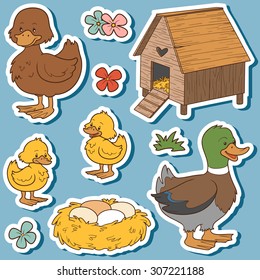 Farm animals set, vector stickers with duck family and farm items