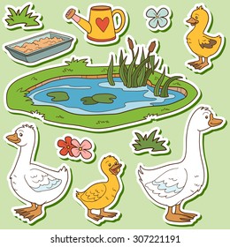 Farm animals set, vector stickers with goose family and farm items