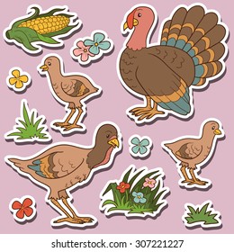 Farm animals set, vector stickers with turkey family and farm items