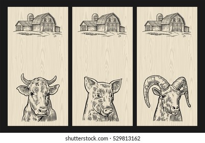 Farm animals set for vertical poster template. Pig, cow and goat heads isolated on wood textured background. Vector black vintage engraving illustration. Hand drawn in a graphic style.