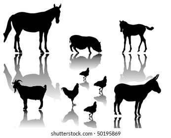 farm animals with shadows and white background