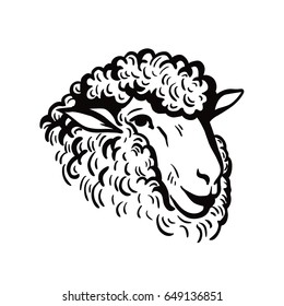 farm animals. sheep head sketch
