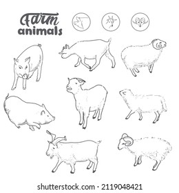 Farm animals - sheep, pig, goat, ram, lamb. Agricultural cattle hand drawing in sketch style