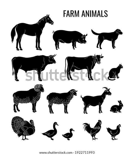 農家の動物は 馬 豚 犬 牡牛 牛 猫 ラム 羊 羊 ヤギ 七面鳥 鳥 ガチョウ アヒル 鶏 鶏のシルエットです ベクターイラスト のベクター画像素材 ロイヤリティフリー