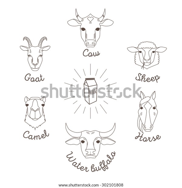 Farm Animals Simple Avatars Farm Products Stock Vector