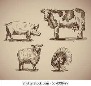 Farm animals in sketch style compilation. Vector illustration livestock drawn by hand. Cow, sheep, pig and turkey on gray background.