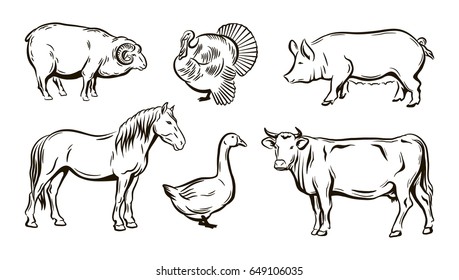 farm animals sketches