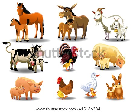 farm animals and their babies