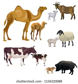 Farm animals and their kids. Camel, cow, goat, sheep and pig. Vector illustration isolated on white background