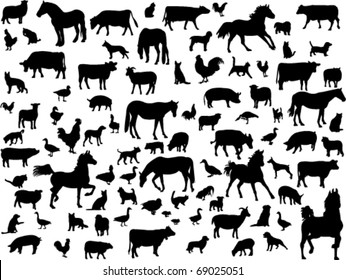 farm animals - vector