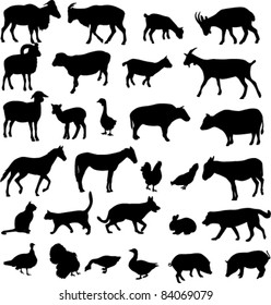 farm animals - vector